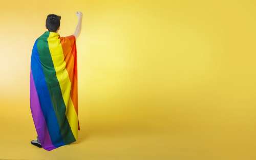 Wrapped Lgbt Flag Holding Fist Up Photo