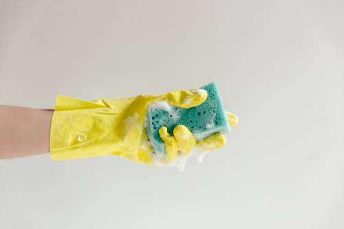 Yellow Glove And Blue Sudsy Sponge Photo