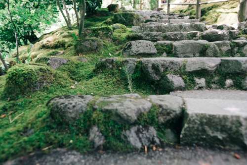 Zen Garden Stone Steps Photo