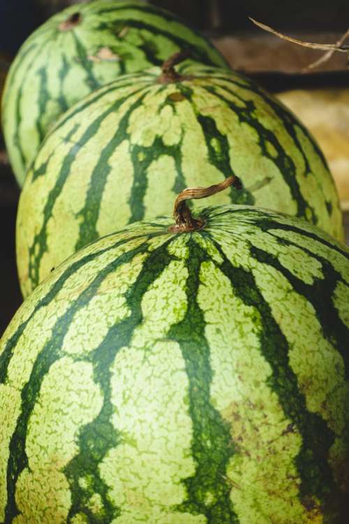 Fresh watermelon close up