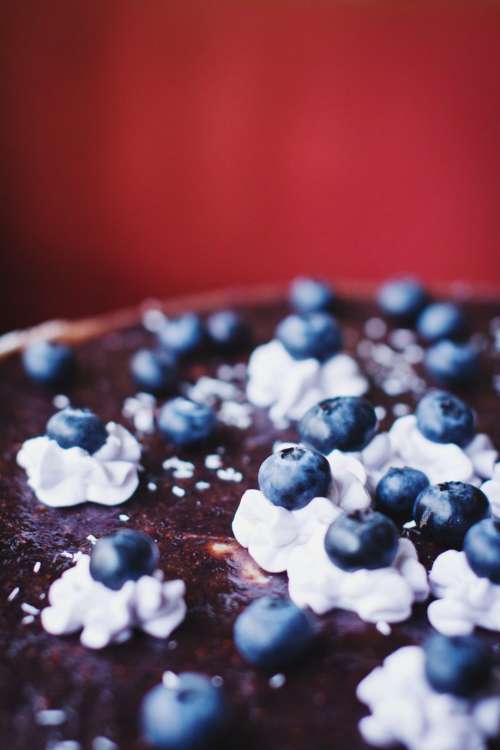 Coconut and blueberry cheesecake