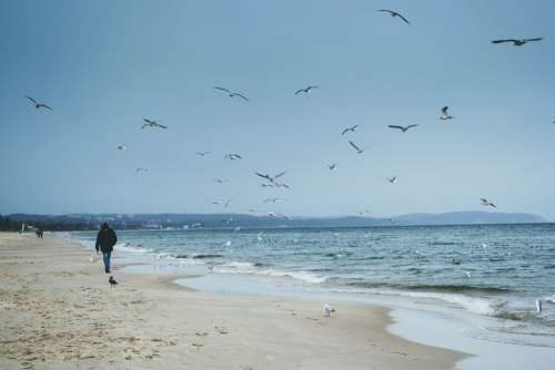 Baltic Sea