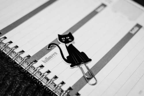 Black cat paperclip in a calendar