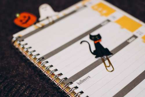Black cat, a pumpkin and a ghost paperclips in a calendar