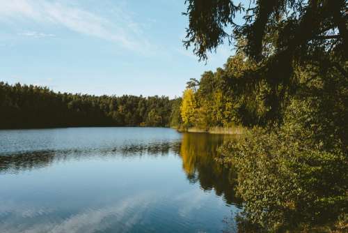 Calm lake surrounded by forest 2