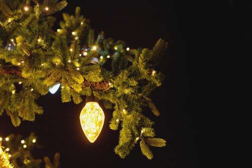 Christmas bulb outdoors