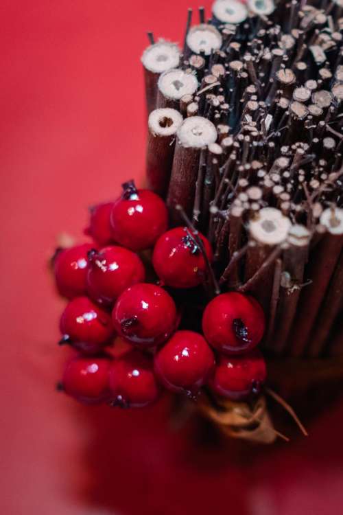 Christmas holly fruit decoration