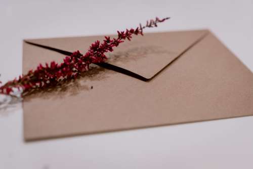 Craft envelope with dried flower