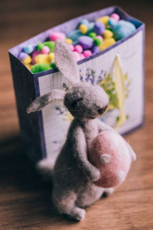 Easter bunny gift 2