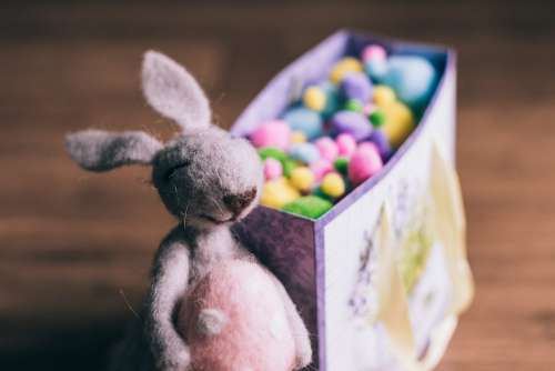 Easter bunny gift 3