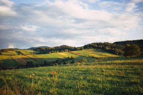 Fields in Bieszczady Mountains