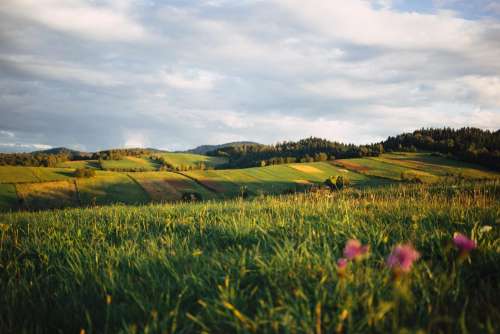 Fields in Bieszczady Mountains 2