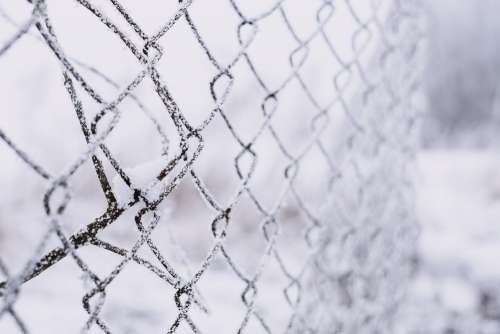 Frosted old net fence 2