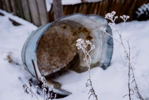 Frozen water in a rusted metal tub
