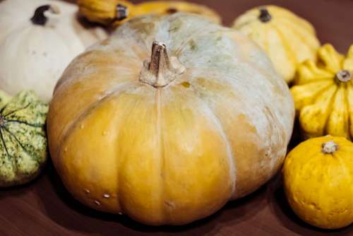 Halloween pumpkins closeup