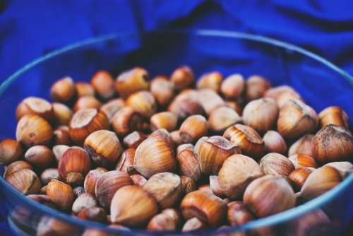 Bowl of hazelnuts