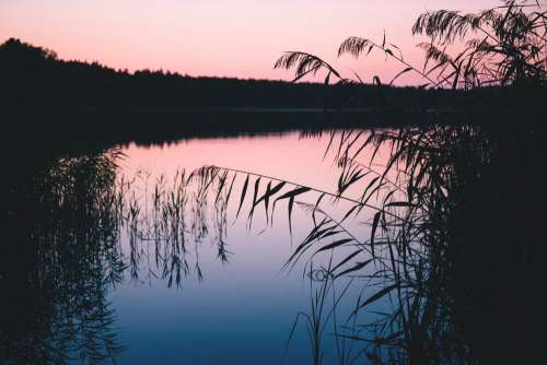 Late sunset at the lake 2