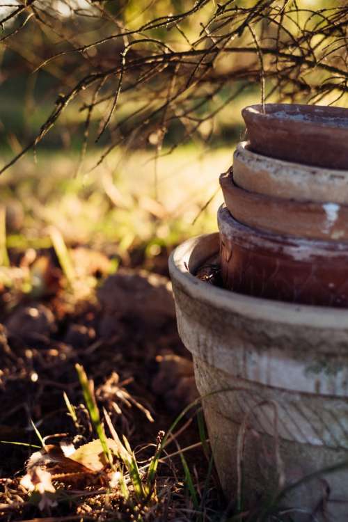 Old clay flower pots 2