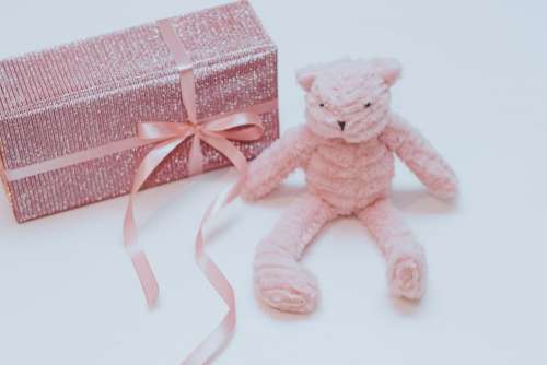 Pink teddy bear 2