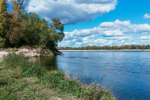 Riverbank flora