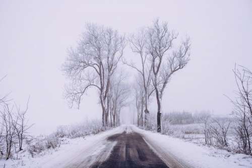 Snow covered road 2