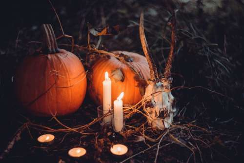 Spooky halloween decoration 2