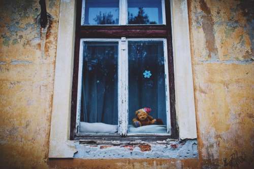 Teddy bear in the window