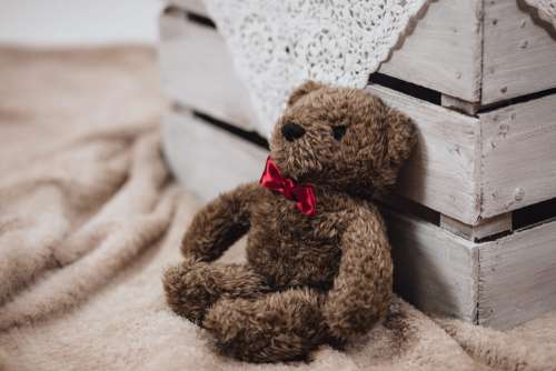 Teddy with red bow tie