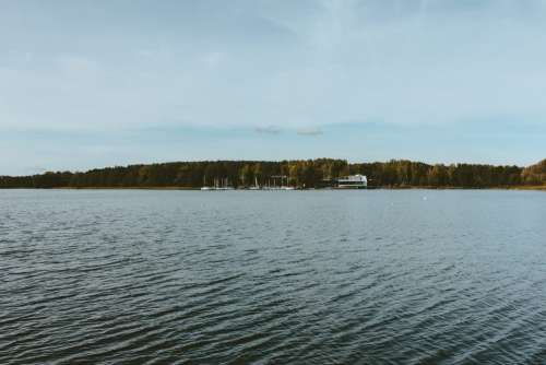 Wavy lake surrounded by forest 2