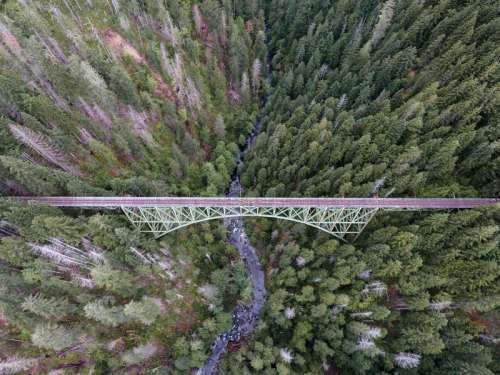 Aerial View of Bridge and Trees free photo