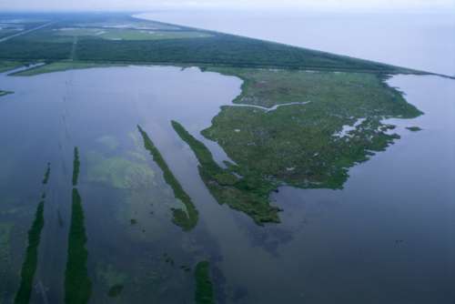 Aerial view of Louisiana wetland habitats free photo
