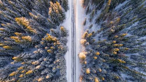Aerial view of Roads and the Pine Forest free photo