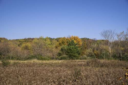Autumn color on the trees near Holy Hill, Wisconsin free photo
