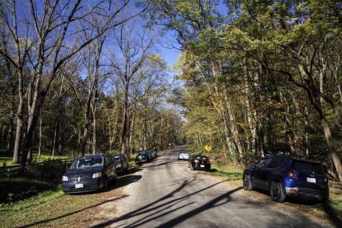 Autumn Trees with Cars on the Road in Morton County Forest, Wisconsin free photo