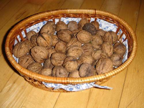 Basket of Walnuts free photo
