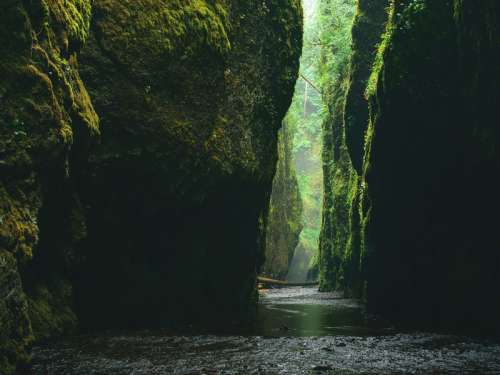 Beautiful Gorge in Oregon free photo