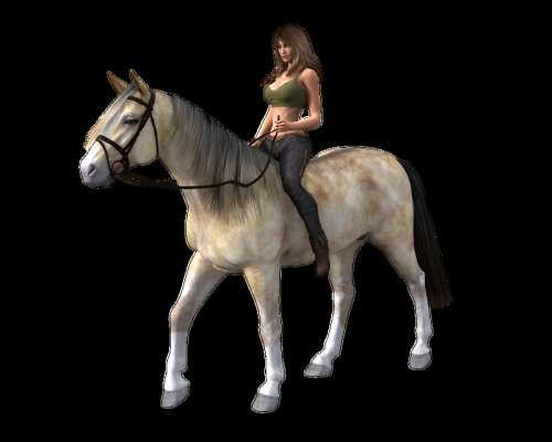 Beautiful Woman on a horse in a sportsbra free photo