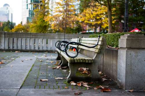 Benches in Harbour Green Park in Vancouver, British Columbia, Canada free photo