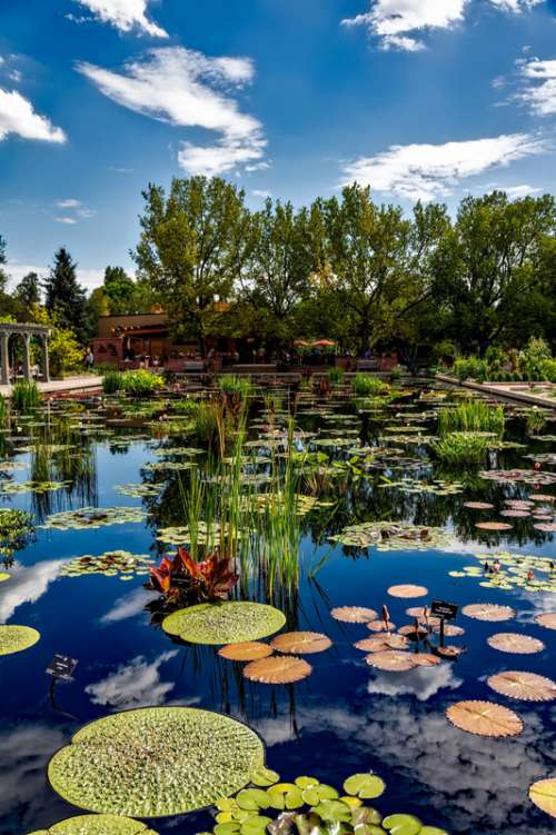 Botanic Gardens in Denver, Colorado free photo