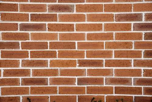Brick Wall patterns with many Bricks free photo