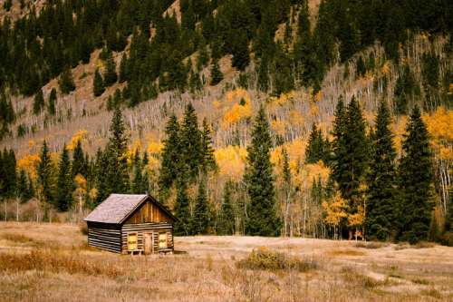 Cabin and woods in the fall in Boulder, Colorado free photo