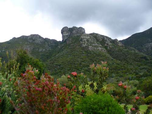 Castle Rock landscape in Cape Town, South Africa free photo