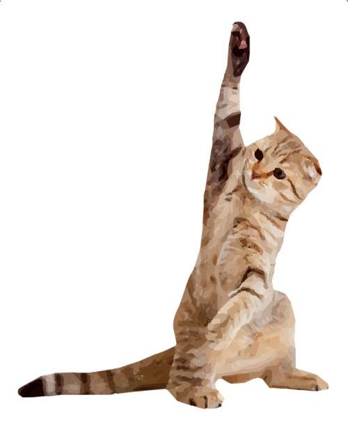 Cat raising hand vector clipart free photo