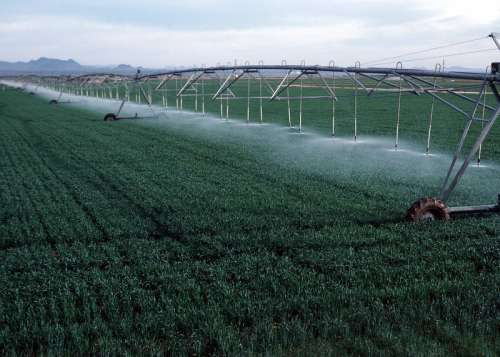 Center-pivot irrigation of wheat growing in Yuma County, Colorado free photo