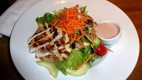 Chicken Salad food plate free photo