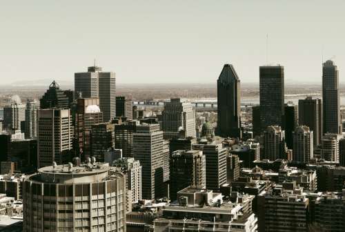 Cityscape view of the skyscrapers in Montreal, Quebec free photo