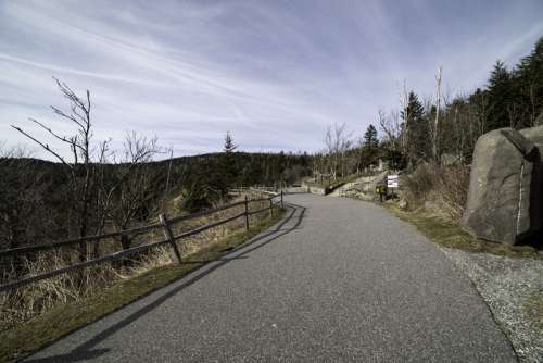 Clingman's Dome Trail Path in Great Smoky Mountains National Park, Tennessee free photo