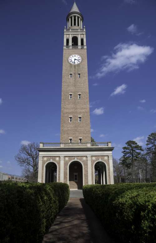 Clock Tower among hedges in University of North Carolina, Chapel Hill free photo