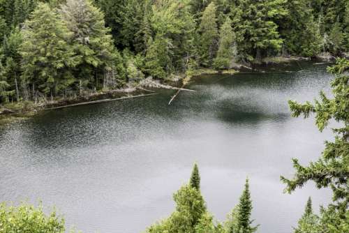Close up of Jack Lake at Algonquin Provincial Park, Ontario free photo