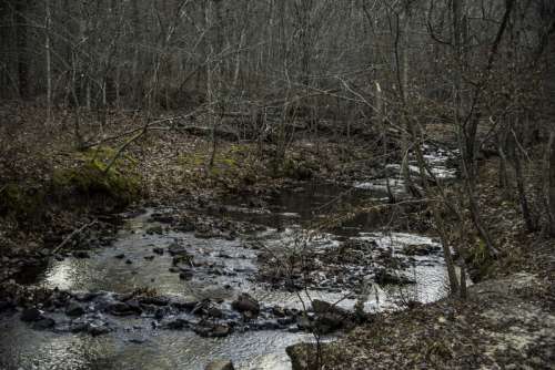 Creek Landscape in the woods at Hawn State Park, Missouri free photo